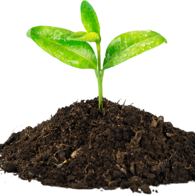 SEMENCES, ANGRAIS & FERTILISANTS
